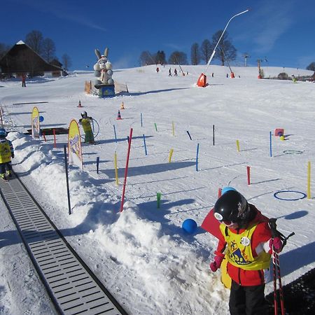 Abelhof Villa Schladming Luaran gambar