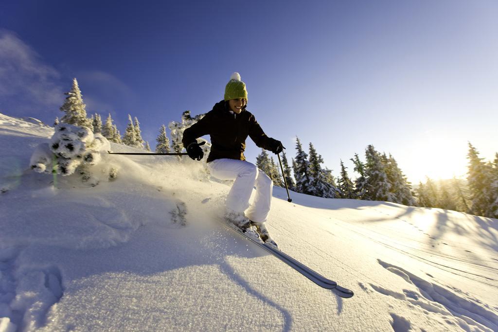 Abelhof Villa Schladming Luaran gambar