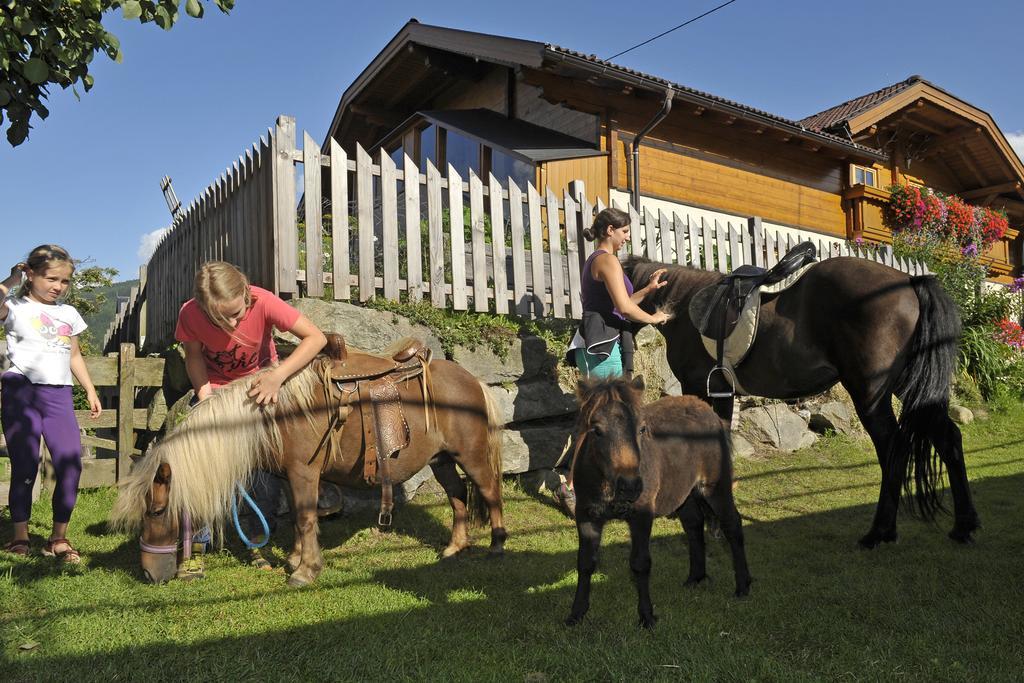 Abelhof Villa Schladming Luaran gambar