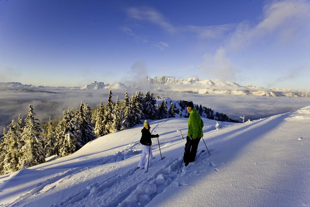 Abelhof Villa Schladming Luaran gambar
