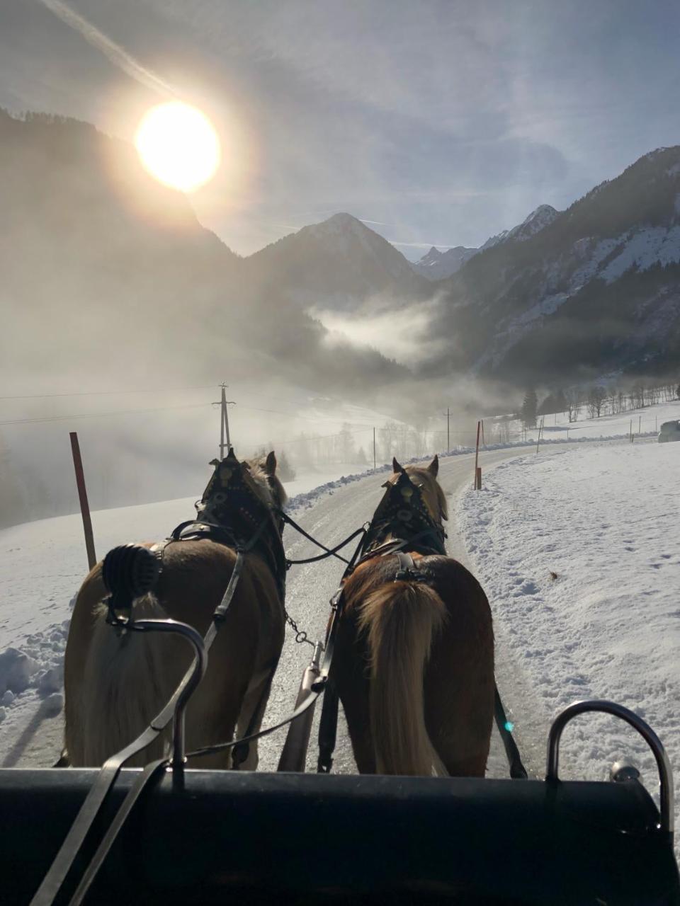 Abelhof Villa Schladming Luaran gambar